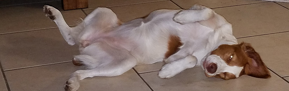 MiniBanner