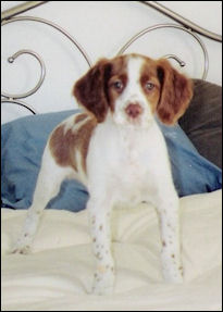 Baby Sunny
