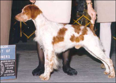 Victor