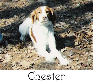 Chester