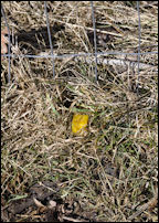 AInstalled stake